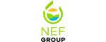 NEF Förderungs GmbH